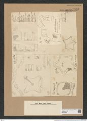 Amphitetras antediluviana Ehr. (de-Toni-Nr.: Genus 137, Species 3602) Zeichnungen Sammlung Grunow Nr. 7097 (NHMW-BOT-W0376050)